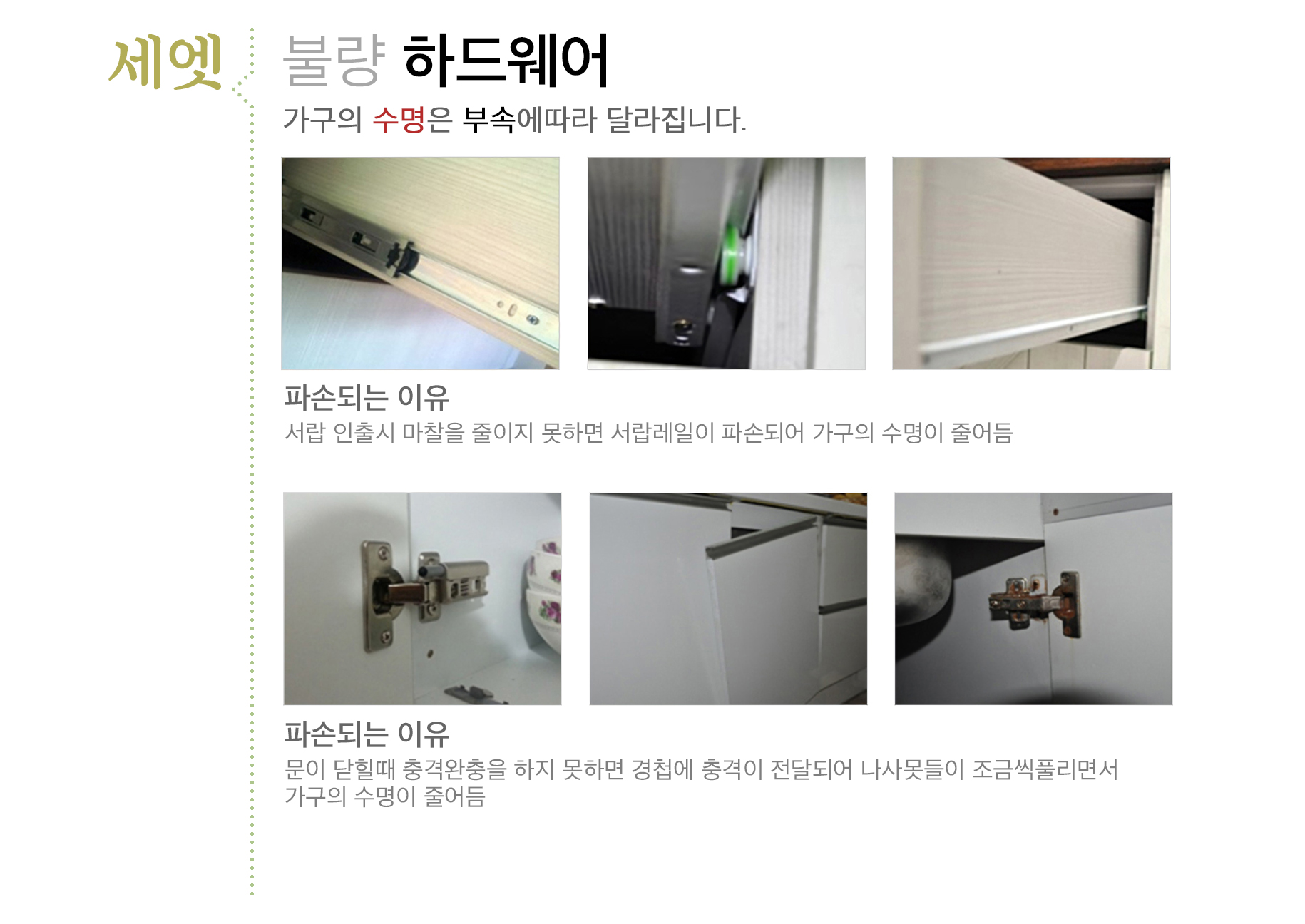eco_06.jpg